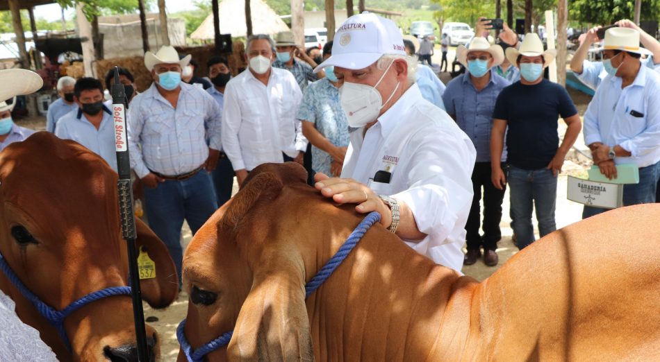 El sur sureste llamado a ser potencia productora de alimentos para México y el mundo: Agricultura