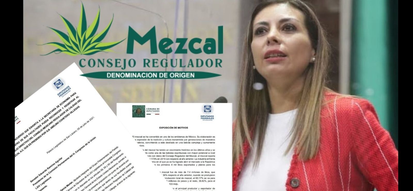 Acusa Diputada a Hipócrates Nolasco de Deslealtad a Mezcaleros