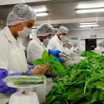 Consolidan México y Estados Unidos Alianza para la Inocuidad Alimentaria