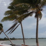 El Huracán Grace toca tierra en Tulum, Quintana Roo