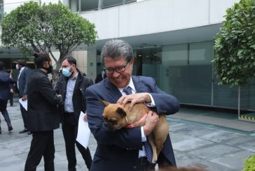 Impulsa Monreal primera Ley en México que protegerá a los animales