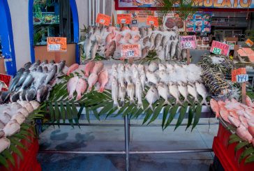 <strong>Productores aseguran abasto de pescados y mariscos para Semana Santa en todo el país</strong>