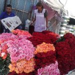 Garantizado el abasto nacional de flores ornamentales para el festejo del Día de las Madres