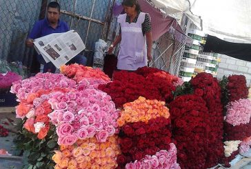 Garantizado el abasto nacional de flores ornamentales para el festejo del Día de las Madres