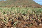 Pide Coparmex acuerdo de emergencia ante sequía severa en el país 