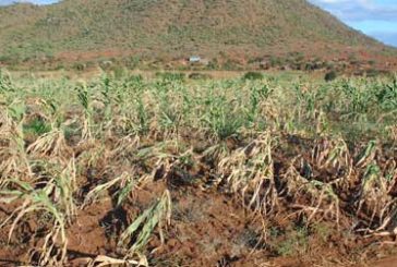 Pide Coparmex acuerdo de emergencia ante sequía severa en el país 