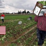 Estados Unidos suma 390.000 empleos en mayo, a medida que la contratación se desacelera