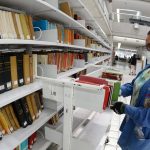 BIBLIOTECARIOS, EJEMPLO DE ADAPTACIÓN A LAS NUEVAS DEMANDAS DE LA SOCIEDAD