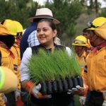 REFORESTARÁN EN TLALPAN MÁS DE 55 MIL ÁRBOLES