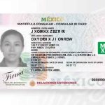 SRE presenta el primer documento de identidad oficial para personas no binarias