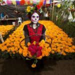 Aumenta producción de flor de cempasúchil en temporada 2022 de Día de Muertos