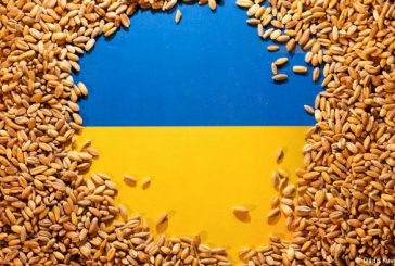 Rusia cambia de rumbo y se suma al acuerdo de exportación de granos desde Ucrania