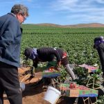 <strong>Urge Ricardo Monreal a garantizar seguridad pública, jurídica y social para el campo mexicano  </strong>