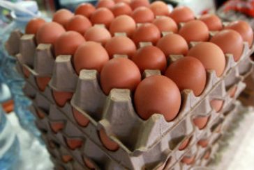 Prohíben el cruce de huevo mexicano a EU tras dispararse su precio