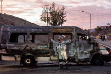 México no está exento de ataque terrorista: IBD; ¿carteles criminales en esta categoría?