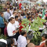 Senador Armenta llama a sumarse a jornadas de reforestación “Sembremos Esperanza”