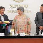 Modelo de desarrollo occidental-capitalista pone en riesgo la vida humana: Vicepresidente de Bolivia