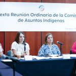 Se comprometen en el Senado a fortalecer defensa de derechos de pueblos indígenas 