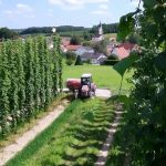 La cerveza alemana podría perder su clásico sabor debido al cambio climático