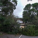 AL MENOS CINCO MUERTOS Y CUATRO DESAPARECIDOS DEJA EL DEVASTADOR PASO DE LA TORMENTA CIARÁN EN ITALIA