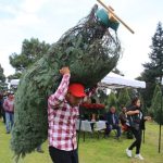 TLALPAN LISTO PARA VENTA DE ÁRBOLES DE NAVIDAD Y FLOR DE NOCHEBUENA