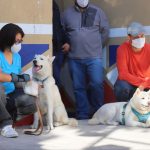 ALCALDIA TLALPAN INVITA AL TALLER DE REHABILITACIÓN DE PERROS CON MIEDO A LA PIROTECNIA