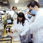 CON LARVAS DE GORGOJO, UNIVERSITARIOS EVALÚAN BOLSAS DE PLÁSTICO