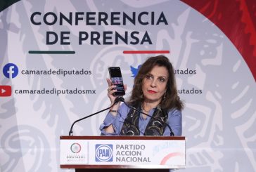 Preocupante, poca efectividad de la ASF para fortalecer la administración pública; ha bajado el número de auditorías: María Elena Pérez-Jaén
