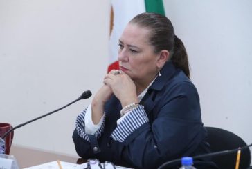 Garantiza INE igualdad de condiciones para todos los partidos en elecciones: Guadalupe Taddei