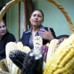 Refrenda Ana Lilia Rivera compromiso para defensa del maíz