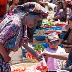 Iniciativa del Ejecutivo sobre pueblos originarios, resarcirá deuda histórica, afirma Ana Lilia Rivera