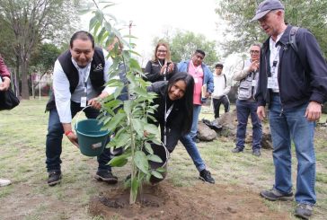 TLALPAN ES RECONOCIDA COMO CIUDAD ÁRBOL DEL MUNDO POR TERCER AÑO CONSECUTIVO