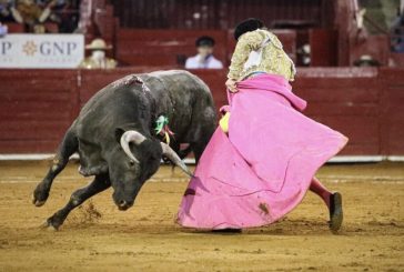 Tribunal colegiado revoca suspensión provisional que impedía corridas de toros en la México