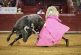 Tribunal colegiado revoca suspensión provisional que impedía corridas de toros en la México