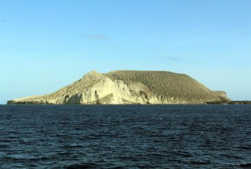 MAPEAN UNIVERSITARIOS VOLCANES EN EL SUELO MARINO DEL ARCHIPIÉLAGO DE REVILLAGIGEDO