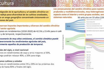 CALENTAMIENTO GLOBAL IMPACTA AGRICULTURA DE TEMPORAL
