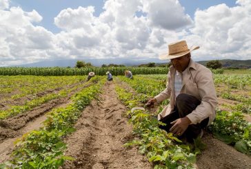 GARANTIZA NOMBRAMIENTO DE JULIO BERDEGUÉ EN LA SADER AVANCE EN SEGURIDAD ALIMENTARIA: UMFFAAC
