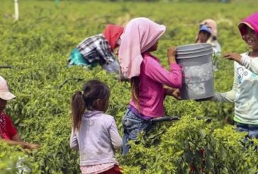 PREVALECE EL TRABAJO INFANTIL