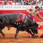 Jesús Sosa corta una oreja en el segundo festejo del ciclo de novilladas 2024 de la Plaza México