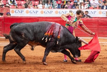 Jesús Sosa corta una oreja en el segundo festejo del ciclo de novilladas 2024 de la Plaza México