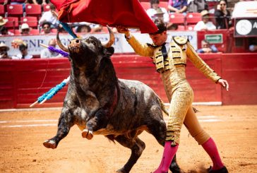 Cuarta novillada sin orejas