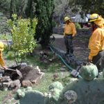 TLALPAN PULMÓN DE LA CDMX PRESERVA ÁREAS VERDES URBANAS Y DE CONSERVACIÓN