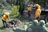 TLALPAN PULMÓN DE LA CDMX PRESERVA ÁREAS VERDES URBANAS Y DE CONSERVACIÓN