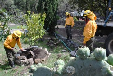 TLALPAN PULMÓN DE LA CDMX PRESERVA ÁREAS VERDES URBANAS Y DE CONSERVACIÓN