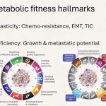 INDAGAN PROLIFERACIÓN DEL CÁNCER MEDIANTE LA PERSPECTIVA DEL DESARROLLO CELULAR