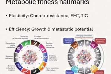 INDAGAN PROLIFERACIÓN DEL CÁNCER MEDIANTE LA PERSPECTIVA DEL DESARROLLO CELULAR