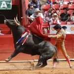 Buen encierro de ganadería Tenopala, faltó toreros