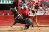 Buen encierro de ganadería Tenopala, faltó toreros