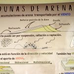 PRESERVA LA UNAM ACERVO DE ARENA DE CASI LA TOTALIDAD DEL LITORAL MEXICANO