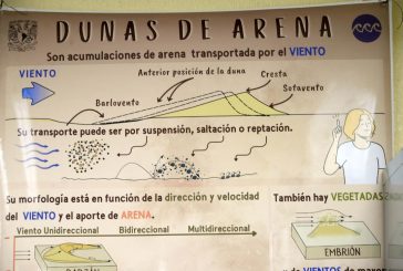 PRESERVA LA UNAM ACERVO DE ARENA DE CASI LA TOTALIDAD DEL LITORAL MEXICANO